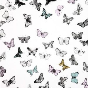 Meet your Posher, Aly